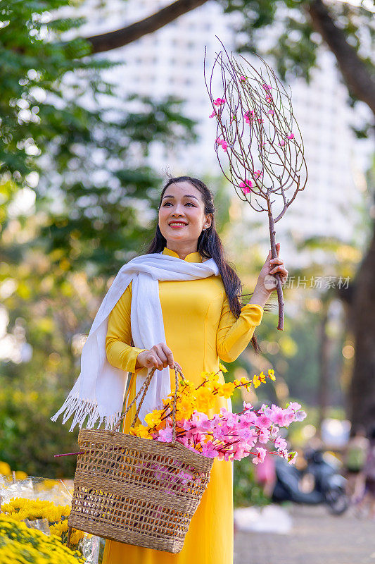 越南女孩穿着传统的ao dai服装，手持花枝在越南享受新年。春节和新年。